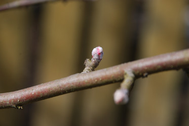 Similar image 21833986