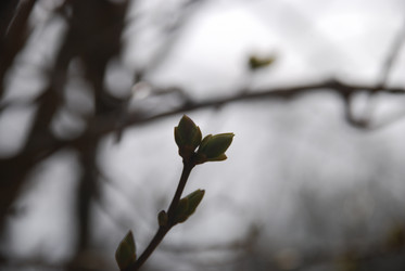 Similar image 21833988