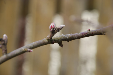 Similar image 21833992