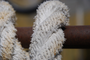 Similar image 21833994