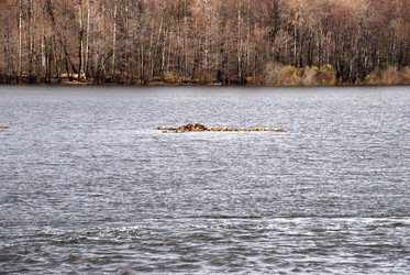 Similar image 21833998