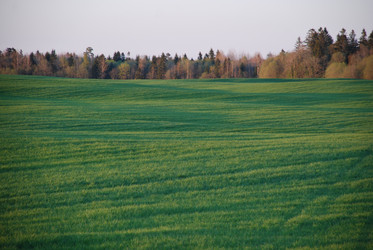 Similar image 21834001