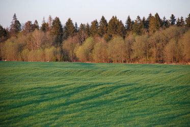 Similar image 21834003