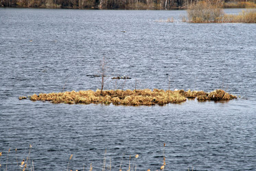 Similar image 21834012