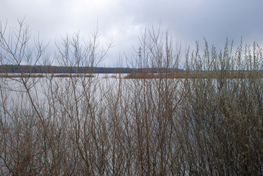 Similar image 21834014