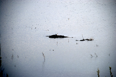 Similar image 21834016