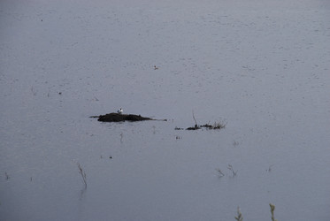 Similar image 21834018