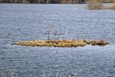 Similar image 21834028