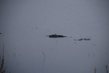 Similar image 21834030