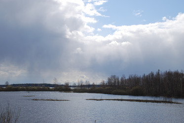 Similar image 21834035