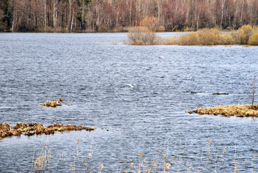 Similar image 21834039