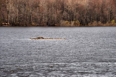 Similar image 21834041