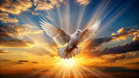 Similar image 21832562