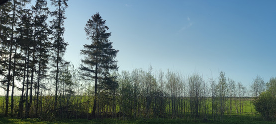 Similar image 21834068