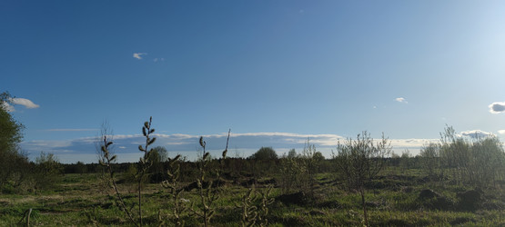 Similar image 21834074