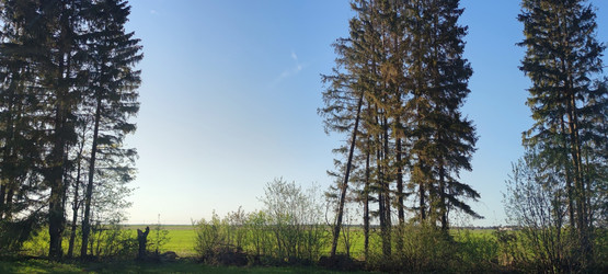 Similar image 21834076