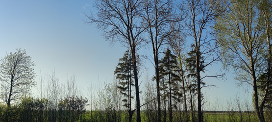 Similar image 21834077