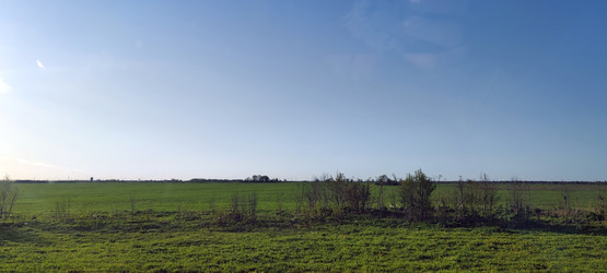 Similar image 21834079