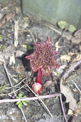 Similar image 21840700