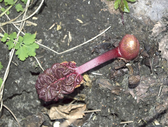 Similar image 21840701