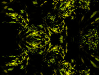 Similar image 21839776