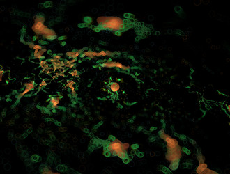 Similar image 21839780