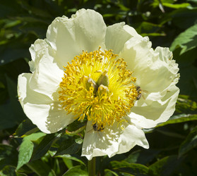 Similar image 21833183