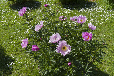 Similar image 21833185