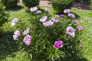 Similar image 21833186