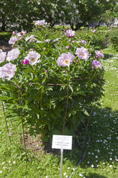 Similar image 21833187