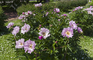 Similar image 21833188