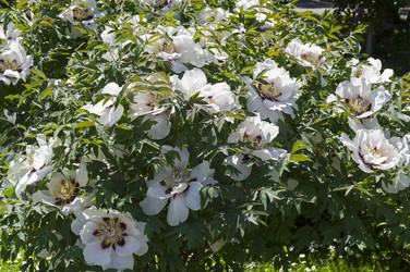 Similar image 21833190