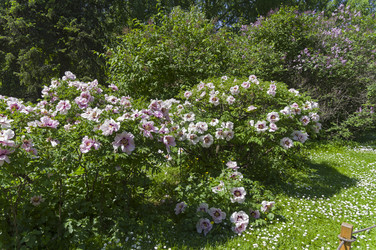 Similar image 21833191