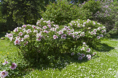 Similar image 21833193