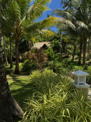 Similar image 21833199