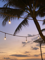 Similar image 21833209