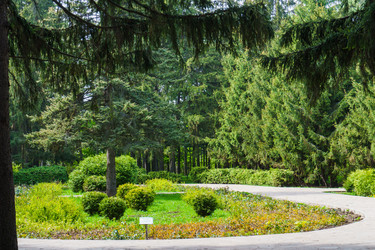 Similar image 21843061