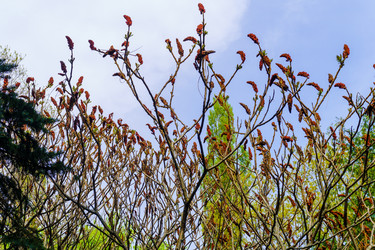 Similar image 21843062