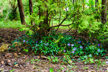 Similar image 21843063