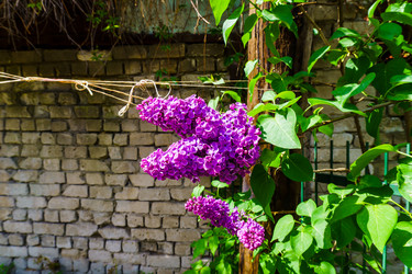 Similar image 21843064