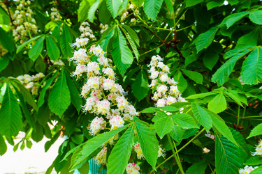 Similar image 21843065