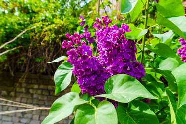 Similar image 21843066