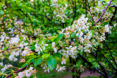 Similar image 21843067