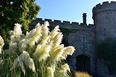 Similar image 21833224