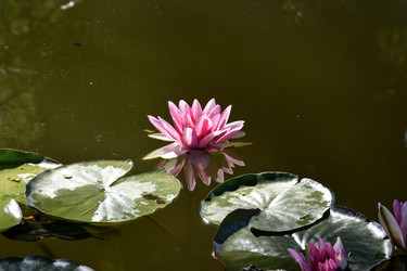 Similar image 21833229