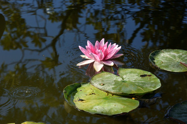 Similar image 21833230