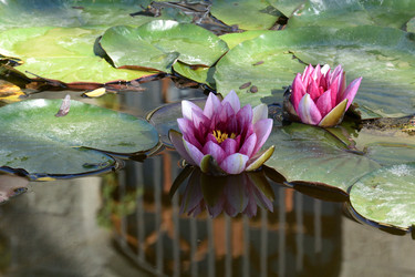 Similar image 21833231