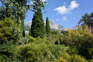 Similar image 21833241