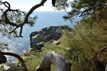 Similar image 21833242