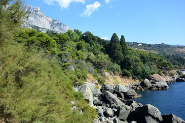 Similar image 21833246